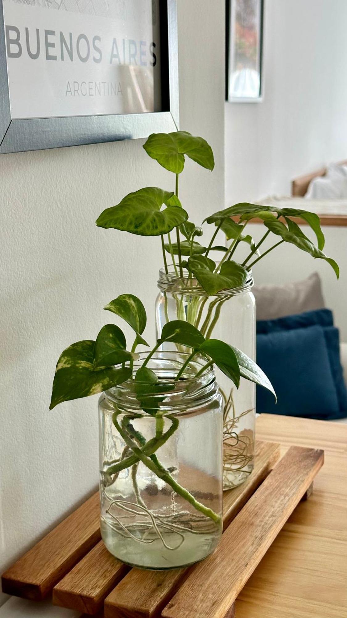 Roma Recoleta Design Apartment