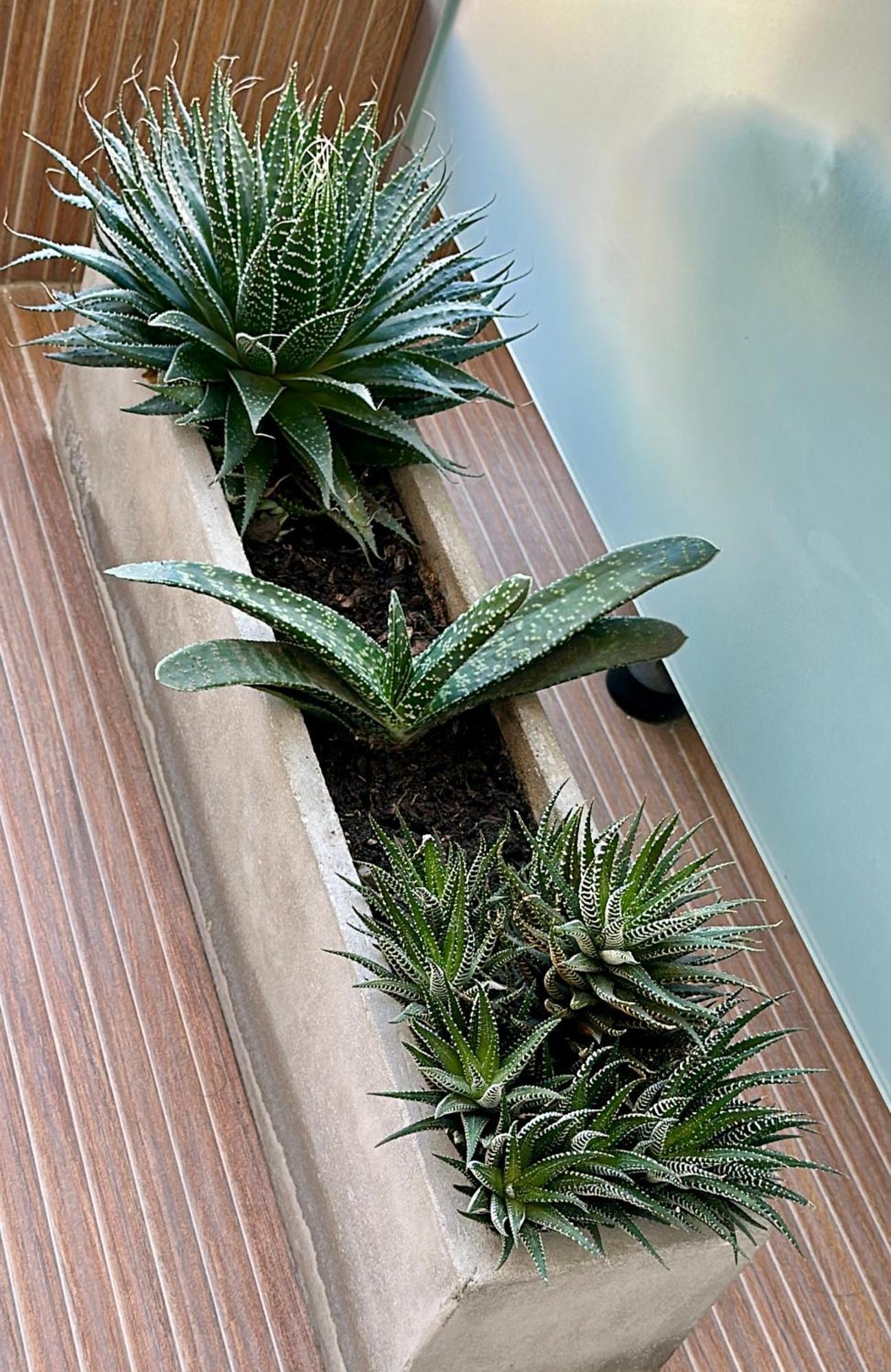 Apartment Roma Recoleta Design Buenos Aires